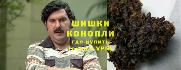 тгк Дмитров