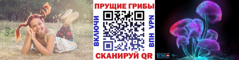 Галлюциногенные грибы Psilocybe  Купить  Бабаево 